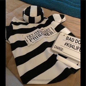 Dog Halloween costume